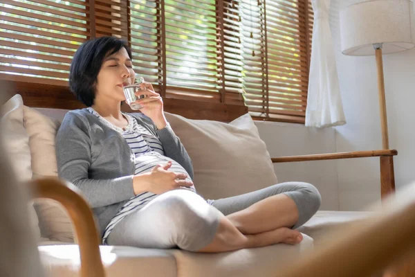 Young Asian Pregnant Woman Sitting Couch Drinking Pure Fresh Glass — стоковое фото