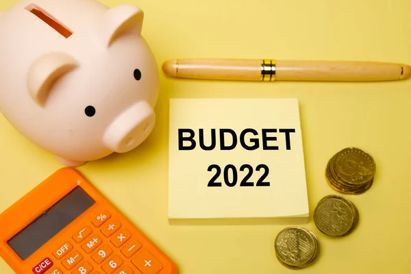 Избирательное Внимание Банку Бюджету 2022 Понимание Других Пунктов Концепция Бюджета — стоковое фото