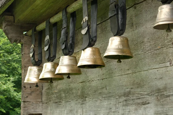 Picture Swiss Cow Bell Also Known Treichel Hanging Wall —  Fotos de Stock