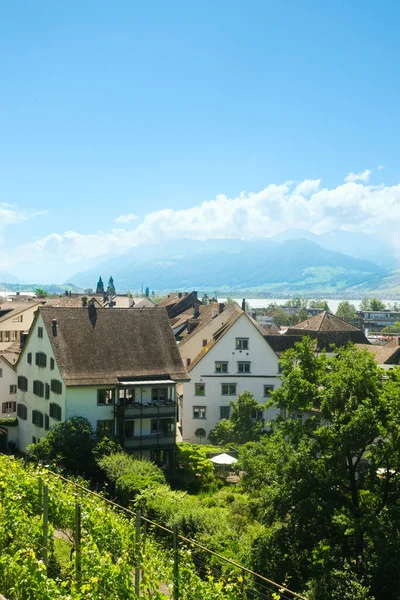 Una Imagen Zona Alojamiento Rapperswil Con Lago Zurich Montaña Viñedo —  Fotos de Stock