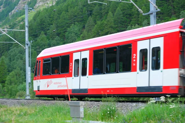 Probat kızartma makinesiyle kavrulmuş kahve.