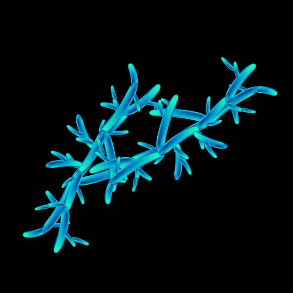 C. pseudotchicalis candida. Патогенные дрожжеподобные грибы типа Candida морфологической структуры. Векторная иллюстрация — стоковый вектор