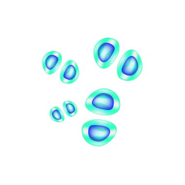 C. glabrata candida. Candida 'nın patojenik mantar benzeri morfolojik yapısı. Vektör illüstrasyonu