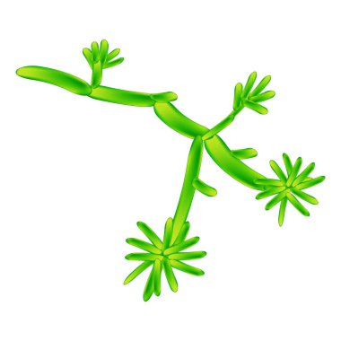 C. krusei Canktada. Candida 'nın patojenik mantar benzeri morfolojik yapısı. İzole edilmiş arkaplanda vektör illüstrasyonu