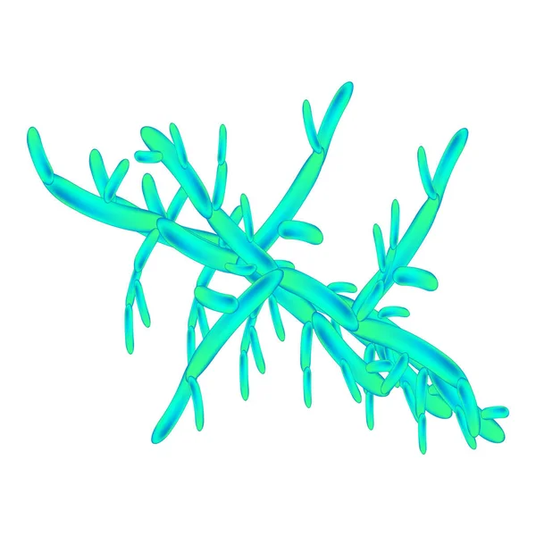 C. viswanathii candida. Pathogene hefeähnliche Pilze vom Typ Candida morphologische Struktur. Vektorillustration — Stockvektor