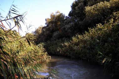 Tuna Deltası, göl ve kanallardan oluşan bir labirenttir. Gezegende büyük bir biyolojik çeşitliliğe sahip alanlardan biridir. Romanya 'daki Tuna Deltası kanallarında sıkışık kamış perdeler