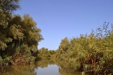 Tuna Deltası, sıkıştırılmış kamış yüzeyi ile göller ve kanallardan oluşan bir labirenttir ve gezegende büyük bir biyolojik çeşitliliğe sahip alanlardan biridir. Burada Delta kanallarında resim gibi yerler var.