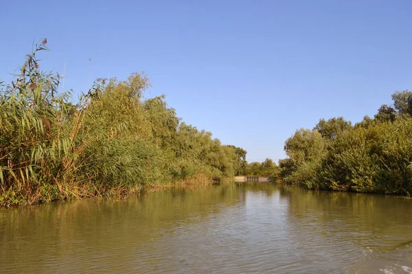 Delta Del Danubio Labirinto Laghi Canali Con Una Superficie Compatta — Foto Stock