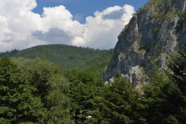 Olte Gargantas Entre Macizo Parng Las Montañas Cpnii Lugares Particularmente — Foto de Stock