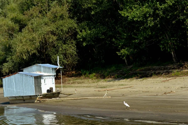 ドナウ川のトラムサーニ ピシカ島のエリアにあるリトル エグレット Egretta Garzetta は釣り小屋の近くにあります — ストック写真