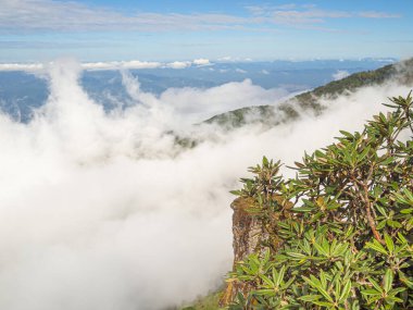 Kew Mae Pan Doi Inthanon, Chiang Mai, Tayland 'da gökyüzü manzarası ve bulutlar. Tayland 'ın ünlü turistik yerleri. Tatil ve seyahat kavramı.
