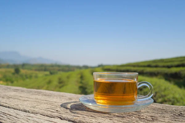 Une Tasse Thé Chaud Sur Ciment Avec Fond Plantation Thé — Photo