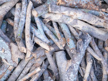 A pile of firewood stacked and prepared for use heating cooking, and heating in winter. Full frame photo.