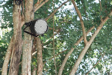 LED ışıkları, geceyi aydınlatmak için ağaçlara takıldı. Dekoratif ışıklandırma kavramı.