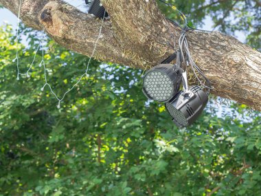 LED ışıkları, geceyi aydınlatmak için ağaçlara asıldı. Dekoratif ışıklandırma kavramı.