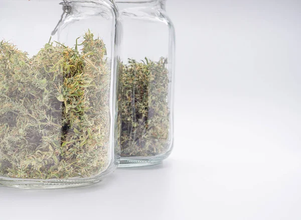 大麻芽在白色背景的容器玻璃瓶中 大麻叶子的质地 带有文本复制空间的特写照片 医疗用大麻种植概念 — 图库照片