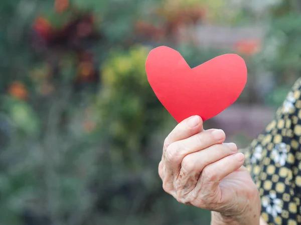 Red paper cut heart shape hold by hand senior woman. Valentine\'s day. Concept of aged people and love.