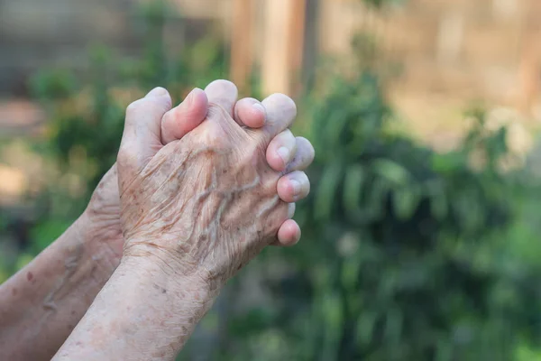 一位老妇人站在花园时 双手紧握在一起祈祷 专注于手部皱纹的皮肤 文字空间 老年人和保健的概念 — 图库照片
