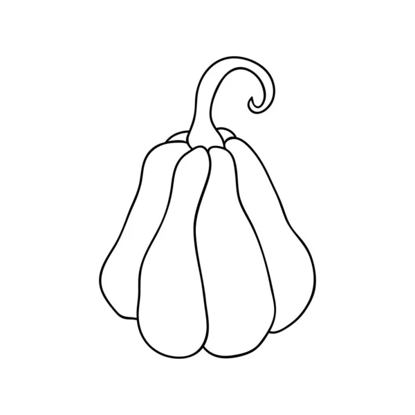 Citrouille Icône Contour Fruit Dans Des Dessins Trait Simples Illustration — Image vectorielle