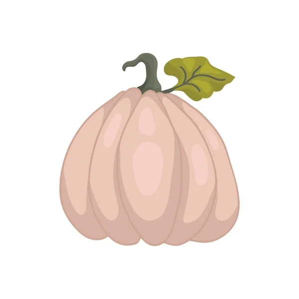 Icône Citrouille Fruit Rose Pâle Illustration Vectorielle Citrouille Pour Halloween — Image vectorielle