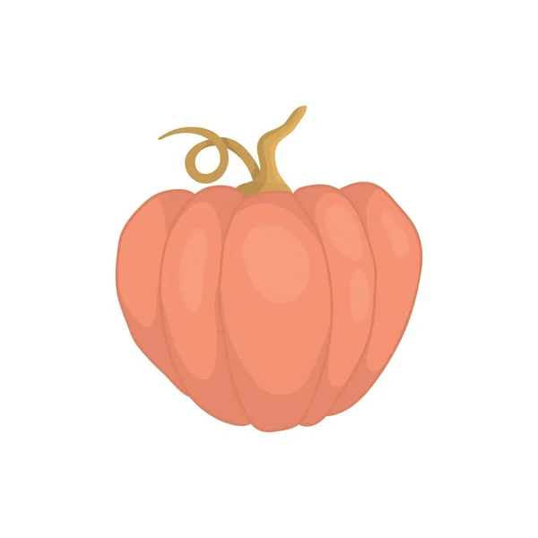 Ícone Abóbora Fruta Rosa Quente Ilustração Vetorial Abóbora Para Halloween — Vetor de Stock