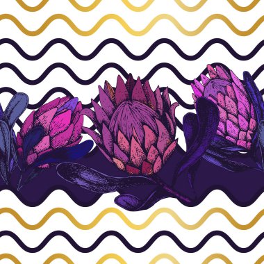 Büyük mor protea çiçek tomurcukları ve geometrik altın dalgalarla kusursuz bir desenin vektör çizimi. Tekstil, duvar kağıdı, kumaş, yatak odası dekorasyonu veya kozmetik ürünleri için desen