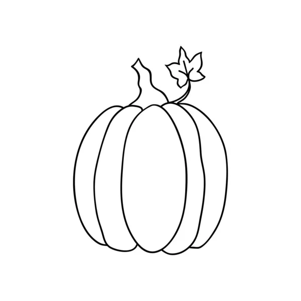Ligne Dessinée Citrouille Ronde Citrouille Pour Halloween Thanksgiving Badge Icône — Image vectorielle
