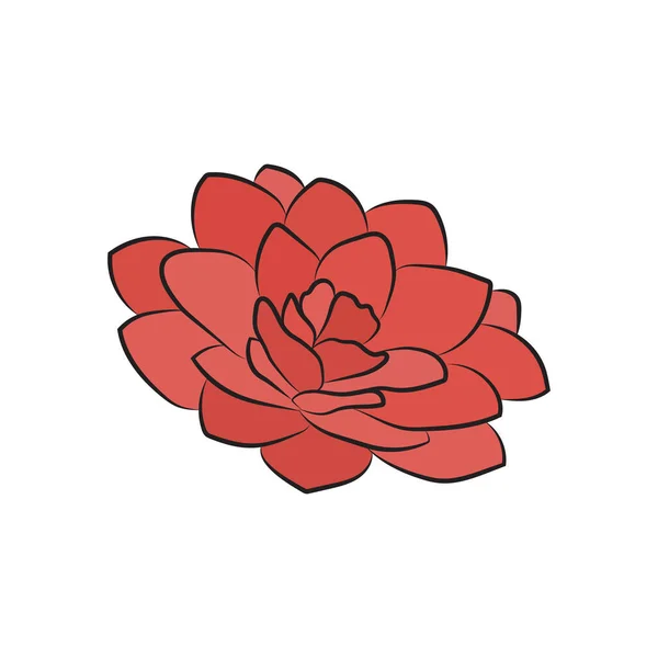 Uma Flor Camélia Vermelha Rosa Bud Exuberante Isolado Fundo Branco — Vetor de Stock