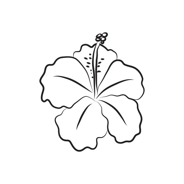 Hibiskusblüte Mit Linien Gezeichnet Vereinzelt Große Geöffnete Knospen Für Einladungen — Stockvektor