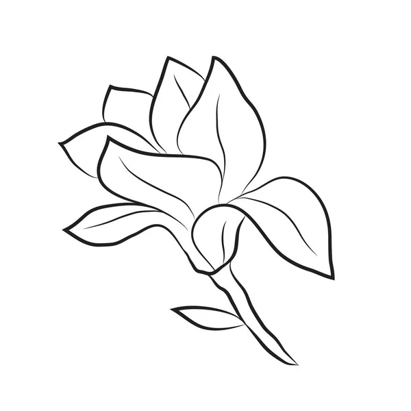 マグノリア線形の花 ラインアート植物 マグノリアアイコンの大きな芽 — ストックベクタ