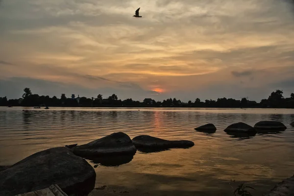 Solnedgång Nära Dammen Fågel Himlen — Stockfoto