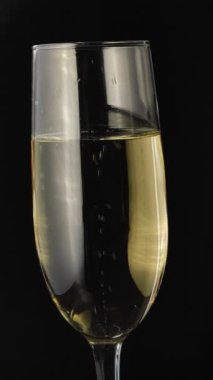 Siyah arka planda bir kadeh şampanya, köpüklü bir bardak.
