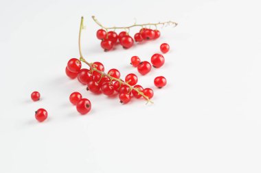 Beyaz arka planda kırmızı frenk üzümü, beyaz arka planda kuş üzümü tomurcukları. Beyaz arkaplandaki üzümler