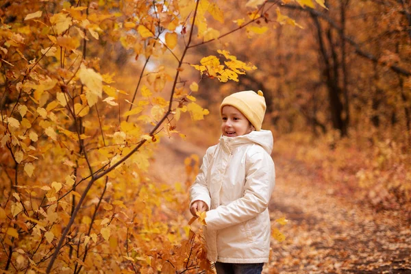 Girl White Jacket Yellow Hat Preschooler Happily Inherits Autumn Colorful — Stock Photo, Image