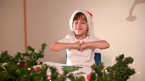 Een Meisje Een Wit Shirt Met Een Nieuwjaarsmuts Haar Hoofd — Stockvideo