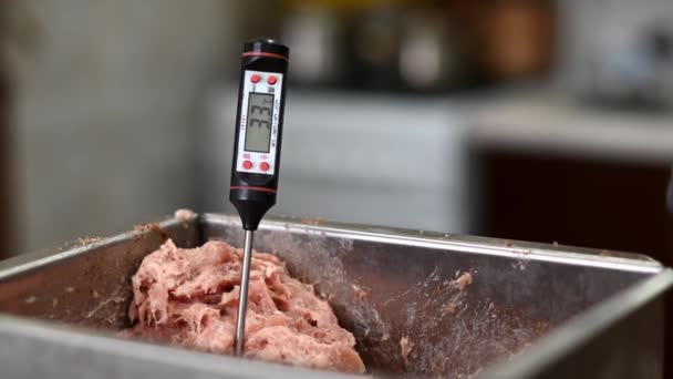 Würstchen Hause Nach Familienrezepten Zubereiten Wurstwaren Fleischindustrie Maschinen Messung Der — Stockvideo