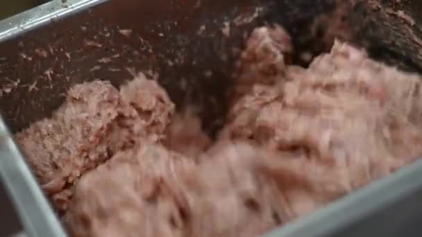 Hacer Salchichas Casa Acuerdo Con Las Recetas Familiares Producto Salami — Vídeo de stock