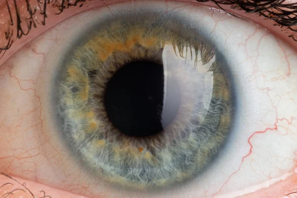 Pupille bleue sur l'œil gros plan — Photo