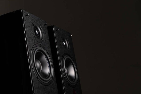 Professional speaker system made of expensive materials on a black background with two speakers and copy-space.
