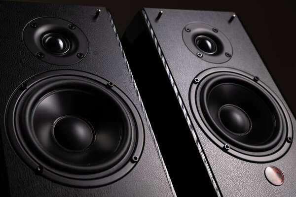 Fashion photo of a stylish hi-end speaker system for professionals and connoisseurs of high-quality music on a black background.