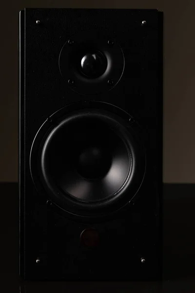 Luksusowy system głośnikowy, kolumna muzyczna z dużym głośnikiem — Zdjęcie stockowe