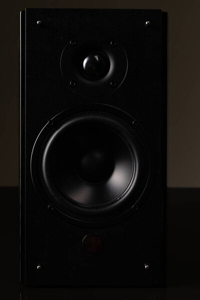 Luxury speaker system, music column with large speaker.