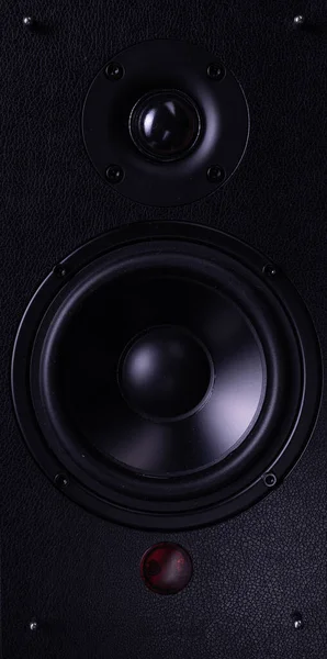 Professionell högtalare för återgivning av hi-fi-musik på nära håll med två högtalare — Stockfoto