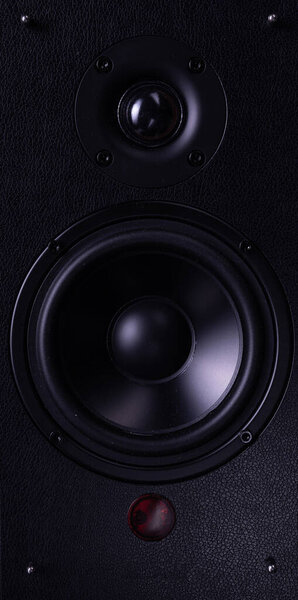 Professional speaker for reproducing hi-fi music up-close with two speakers.