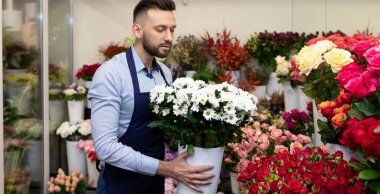 Çiçekçi, Sevgililer Günü için lüks çiçekler ve desenli buketler mağazasında buket topluyor.