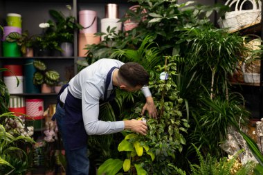 Bir çiçekçi Sevgililer Günü veya Uluslararası Kadınlar Günü için aktif satışlar için bir mağaza hazırlıyor