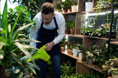 Çiçekçi girişimci mağazalarını Sevgililer Günü 'nde satışa hazırlıyor.
