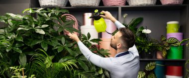 Bir bahçe merkezinde bitkilerle ilgilenen bir botanikçi onları sprey şişesiyle sulıyor.