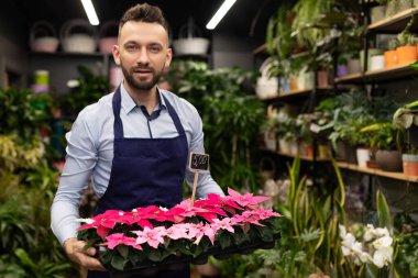 Bir tepsi saksı çiçekli saksı işçisi