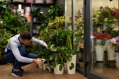 Çiçekçi, bitkilerle ilgileniyor.